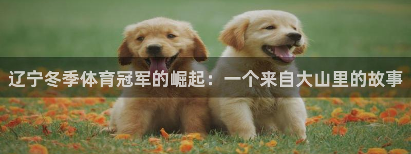 皇冠678体育