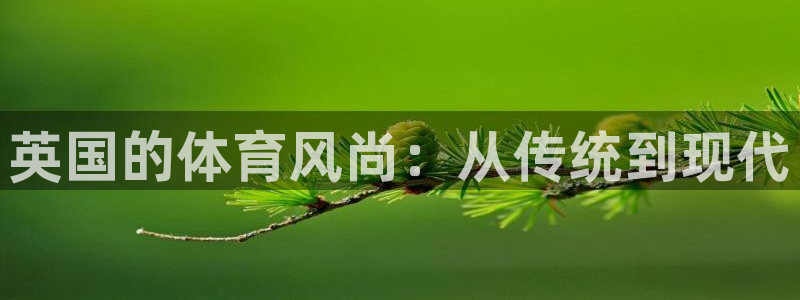 678体育知识