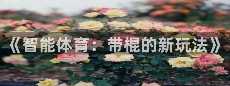 678体育
