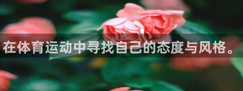 678体育app